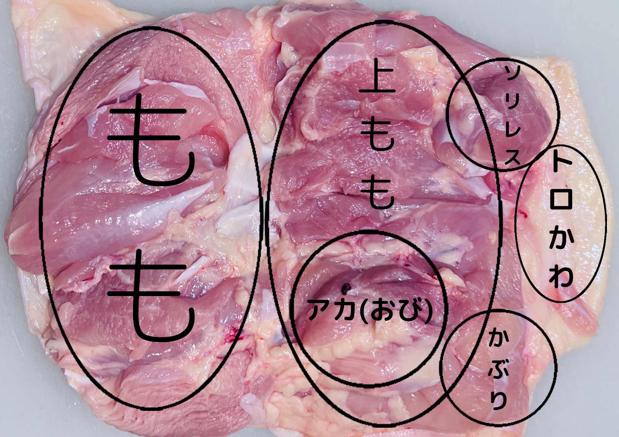 複数の部位を並べた焼き鳥